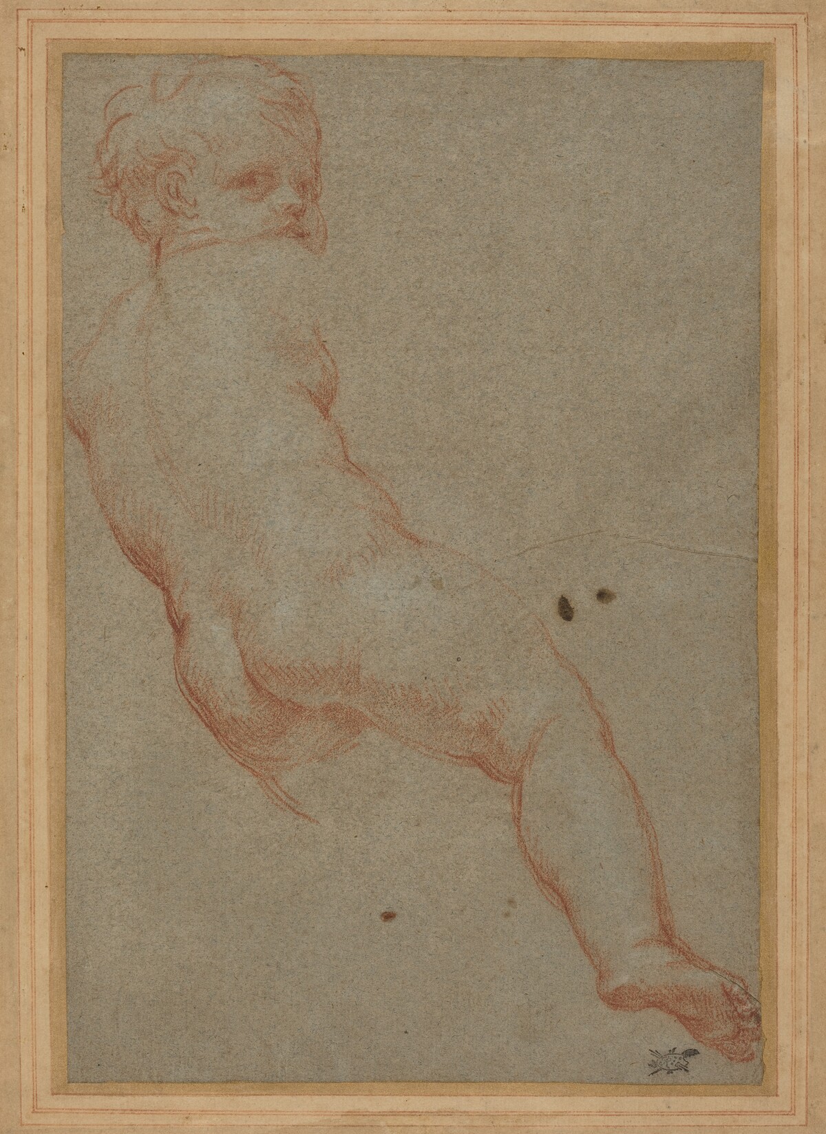 Study of a Young Boy by Carlo Maratta
