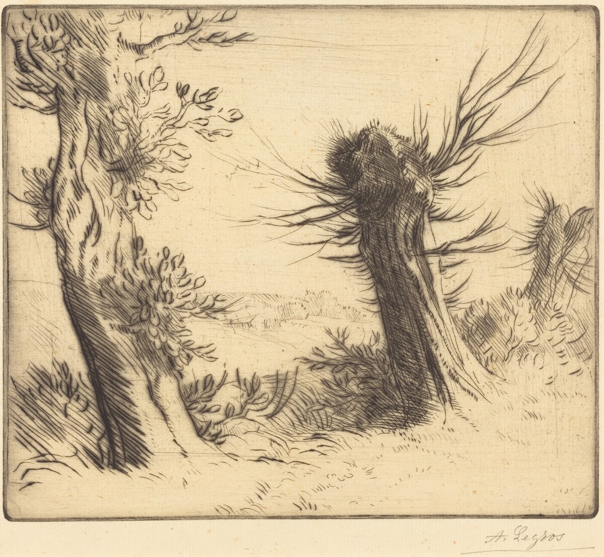 Willows (Les saules) by Alphonse Legros