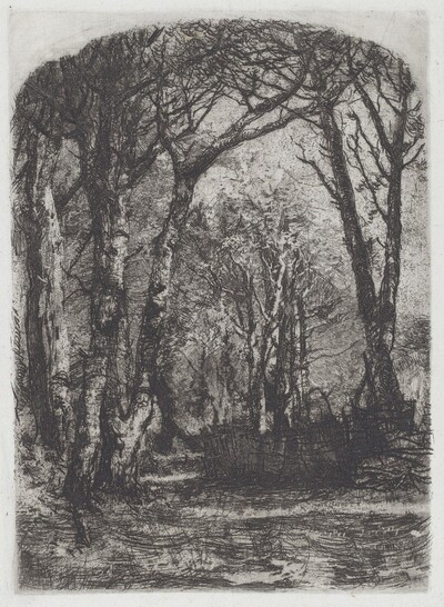 Bosco [Woods]