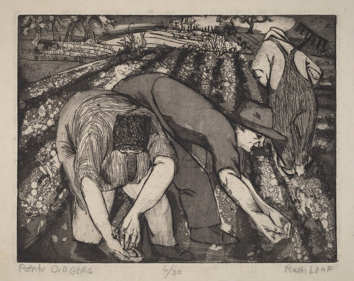 Potato Diggers by Ruth Leaf