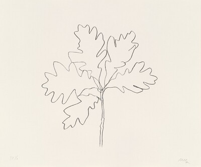 Oak III