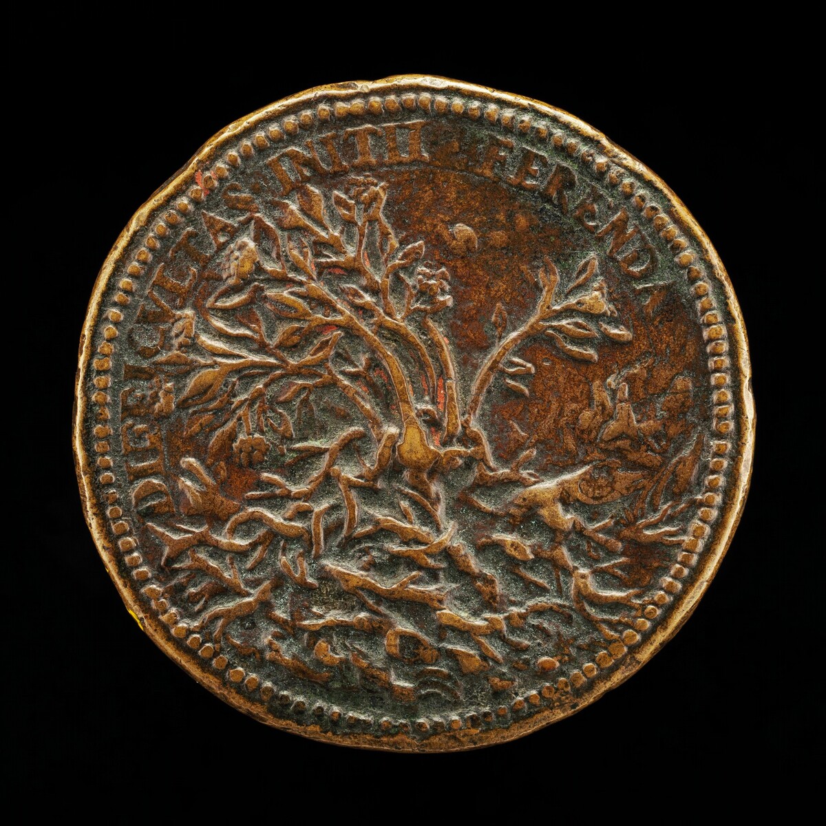 Flowering Shrub Growing through Thorns [reverse] by Pier Paolo Galeotti