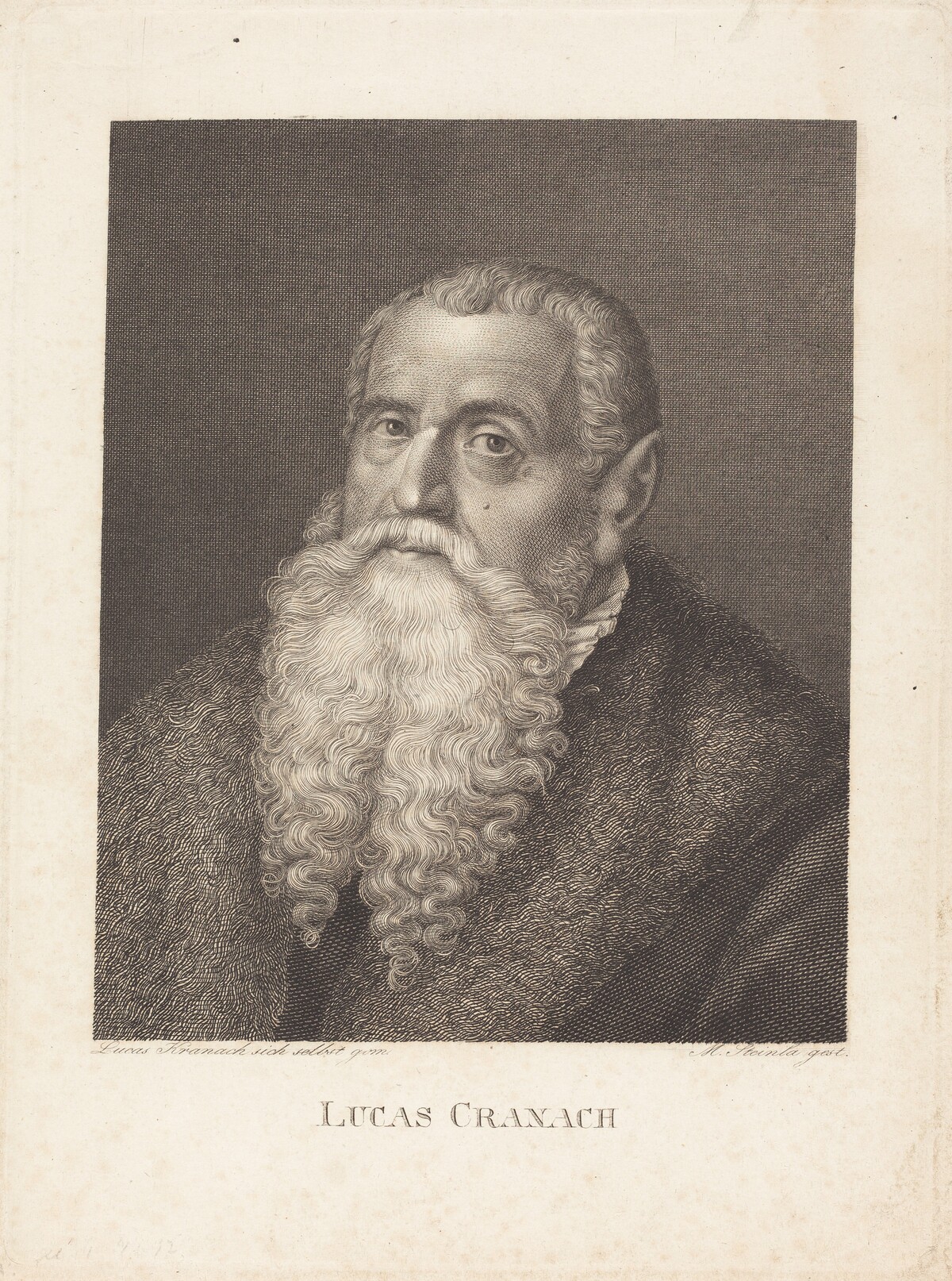 Lucas Cranach by Moritz Steinla