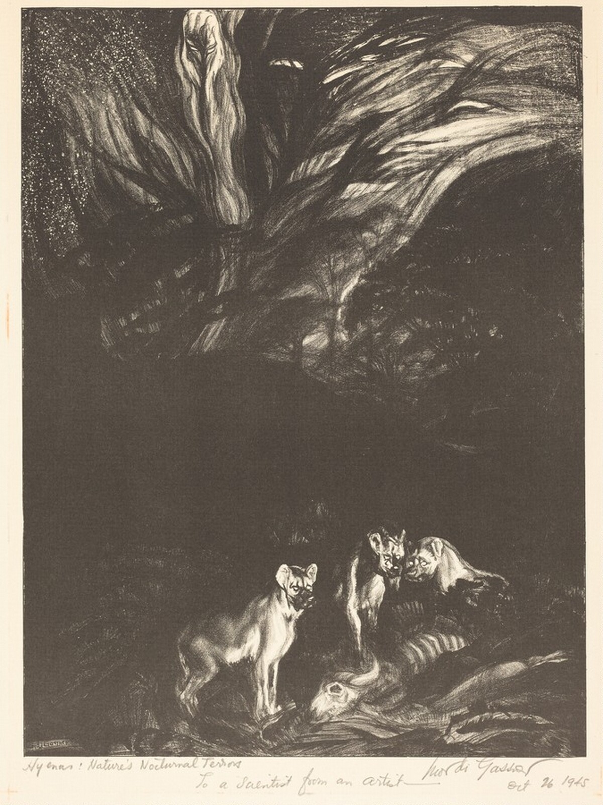 Hyenas: Nature's Nocturnal Terrors by Mordi Gassner