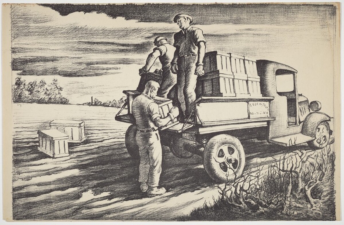 Packing the Produce by Daniel Ralph Celentano
