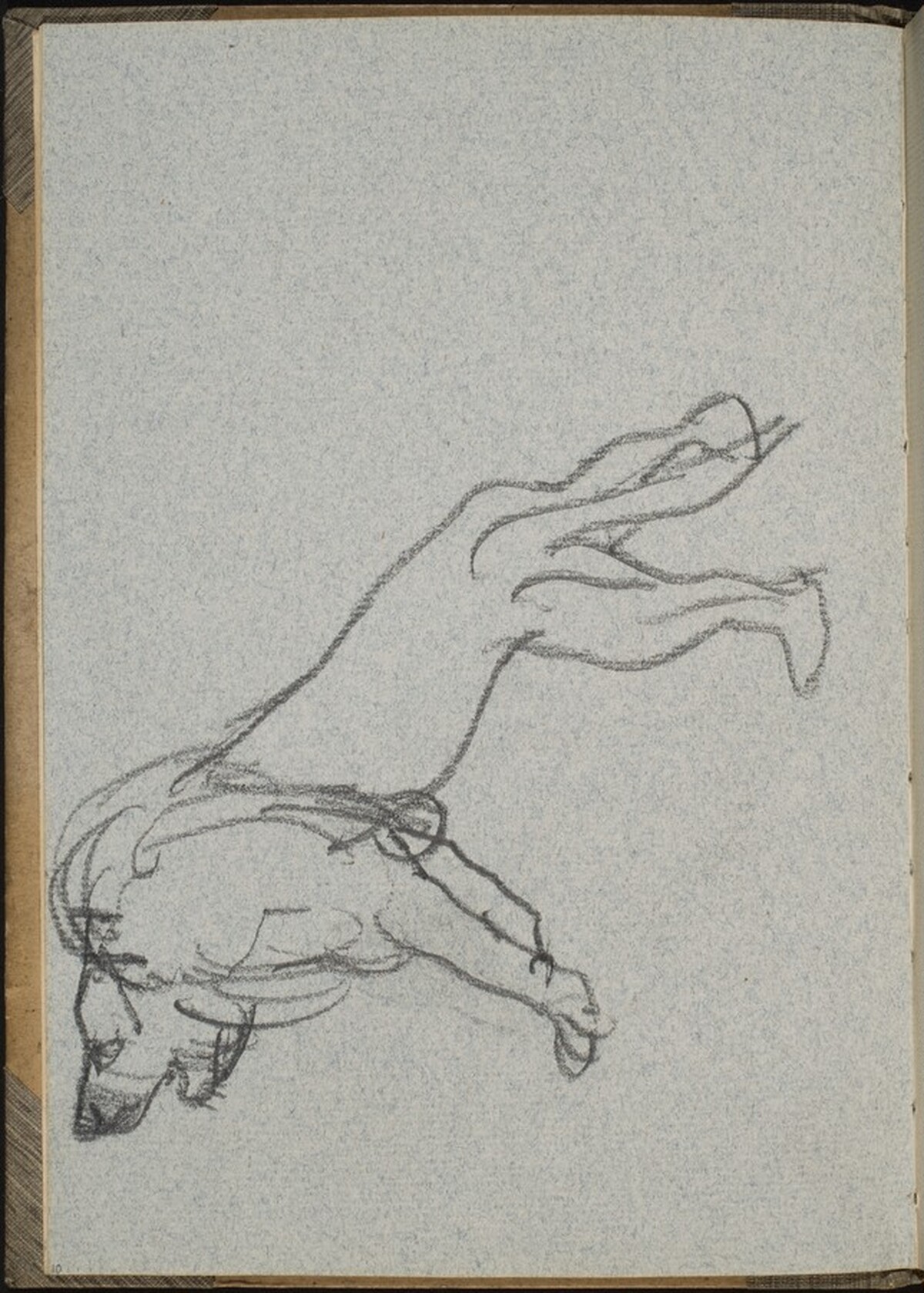 Stehender Löwe (Lion Standing) [p. 10] by Max Beckmann