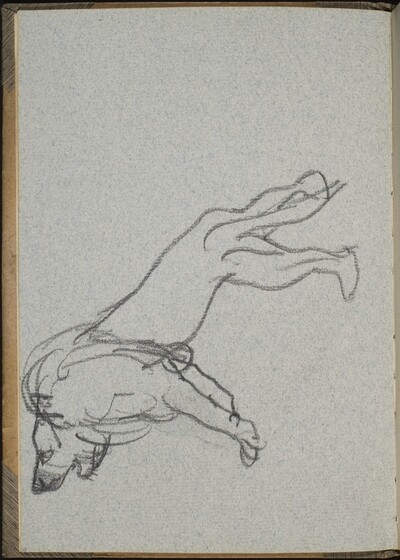 Stehender Löwe (Lion Standing) [p. 10]