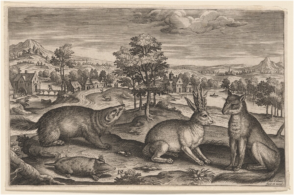 A Mole, a Badger, a Horned Hare and a Fox by Adriaen Collaert