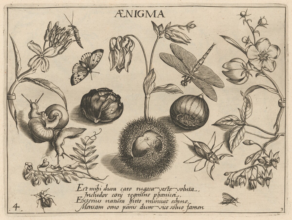 Archetypa studiaque patris Georgii Hoefnagelii [Part 3, Plate 4] by Jacob Hoefnagel after Joris Hoefnagel
