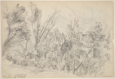 Trees and Cottage [verso]
