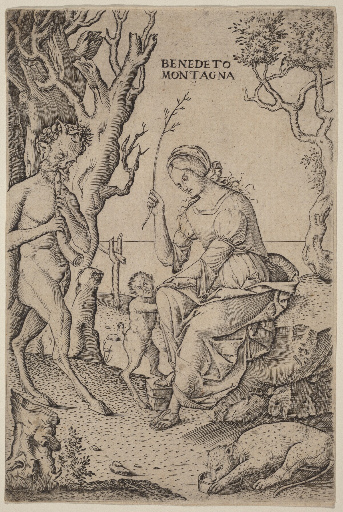 Satyr Family by Benedetto Montagna