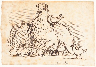 Hens and Chicks