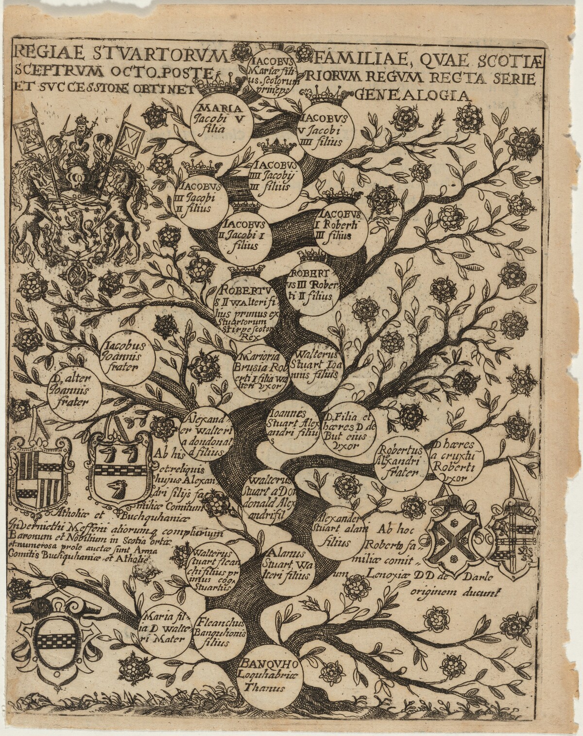 Family Tree of the Stuarts Stemming From Banquho by Unknown Artist