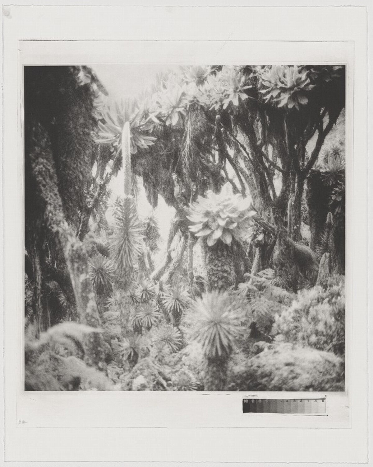 Fullmoon@Rwenzori: Mountains of the Moon [working proof 1] by Darren Almond