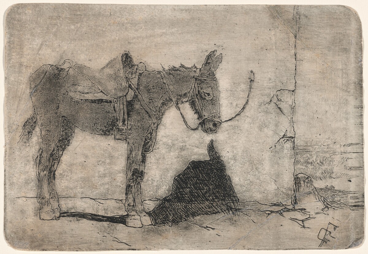 Little Donkey in Sunlight (Somarello al sole) by Giovanni Fattori