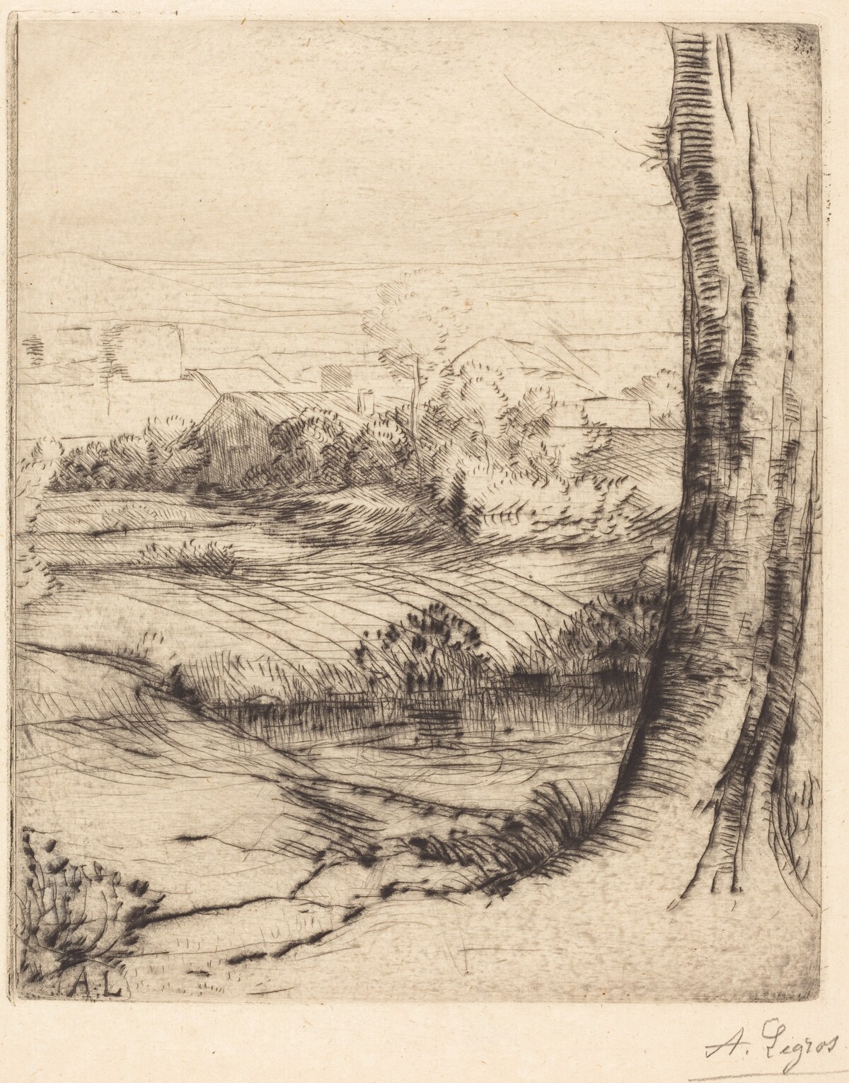 View of Reeds (Coin de roseau) by Alphonse Legros