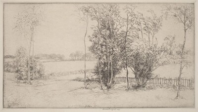 Sussex Landscape