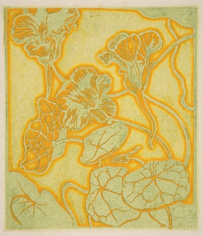 Nasturtiums