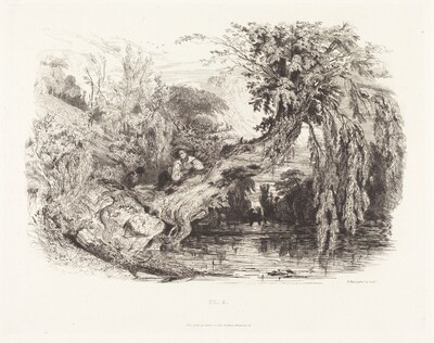 The Poacher