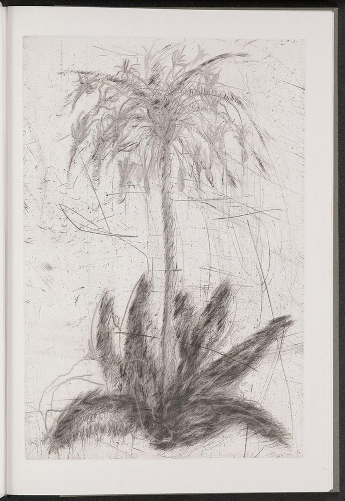 Shooting-Star by Jim Dine