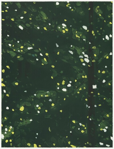 Woods