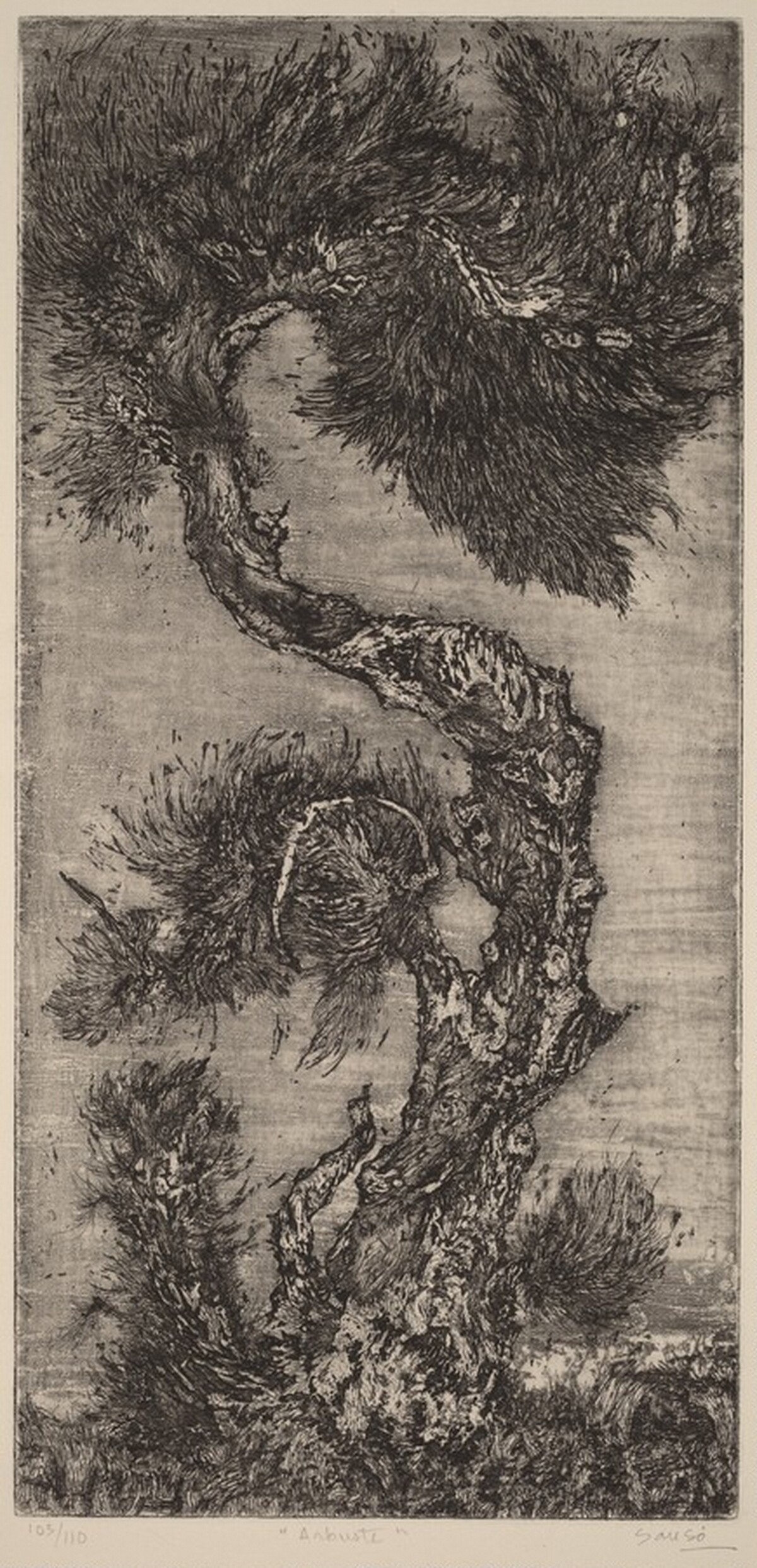 Arbuste (Shrubs) by Juvenal Sansò