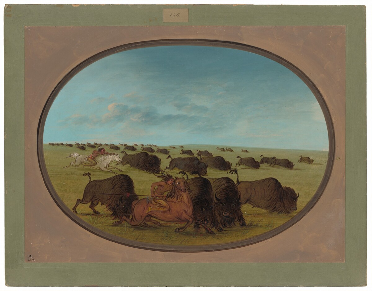Buffalo Chase, with Accidents by George Catlin