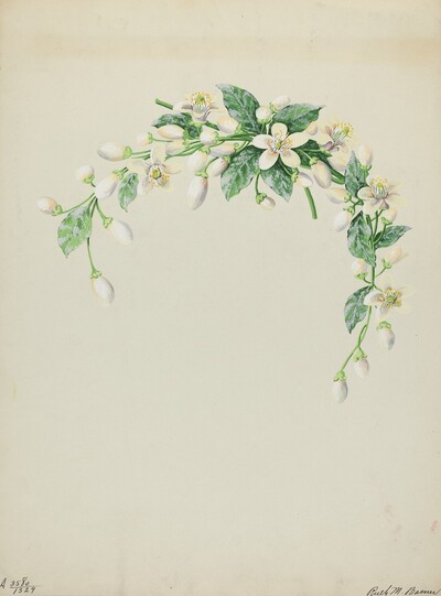 Costume Accessory (Orange Blossoms)