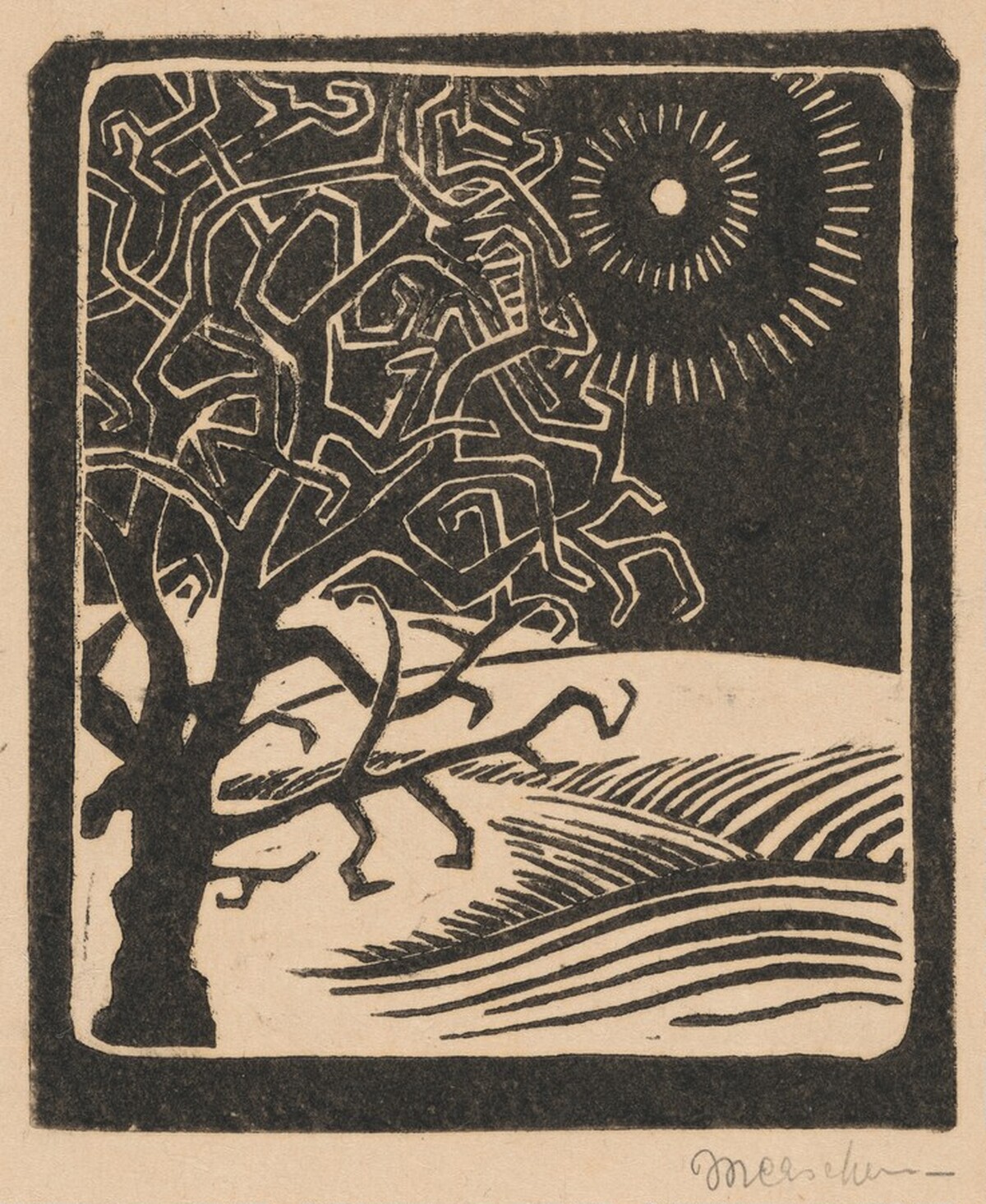 The Borger Oak, Oosterbeek by M.C. Escher