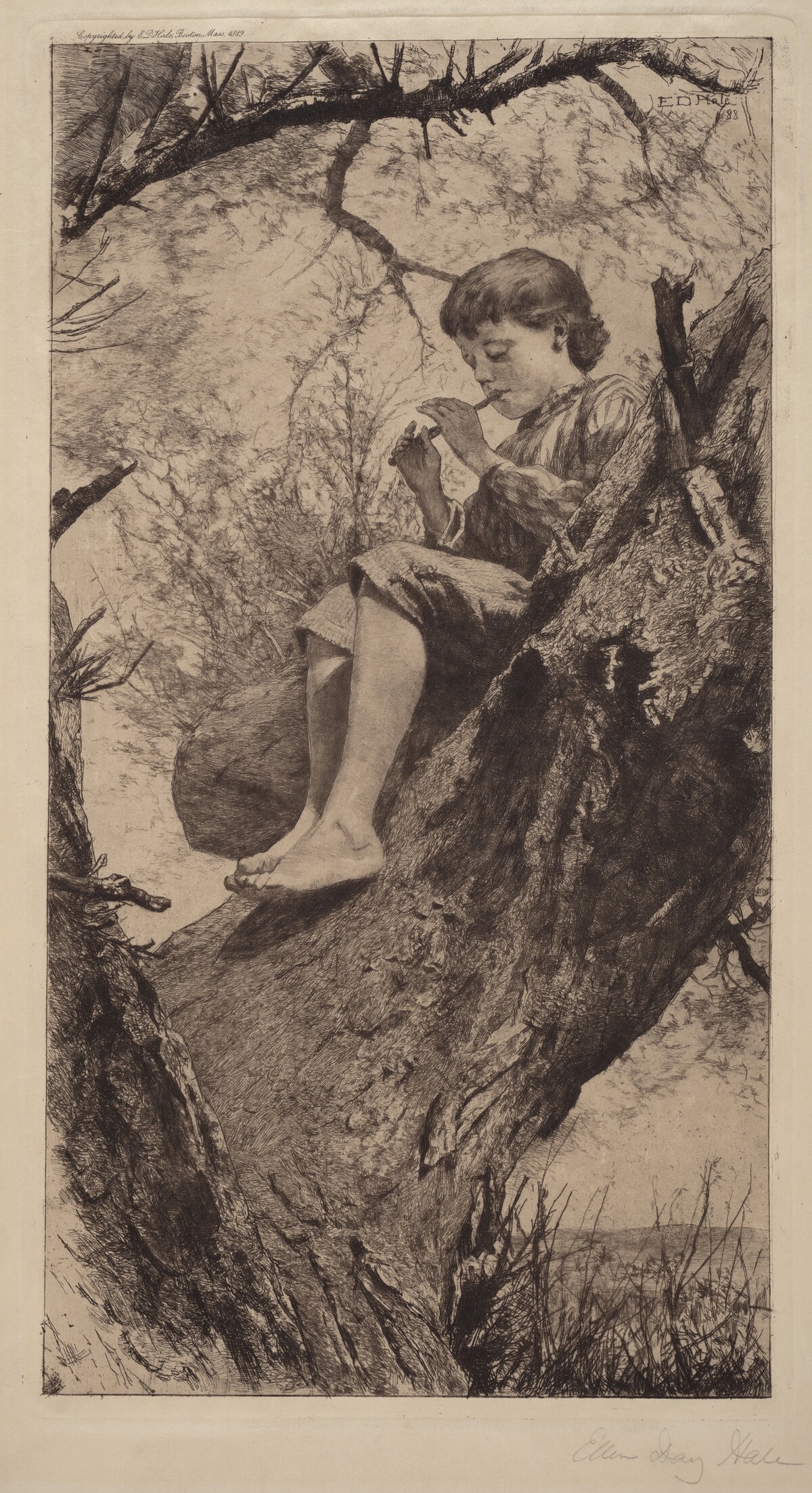 The Willow Whistle by Ellen Day Hale