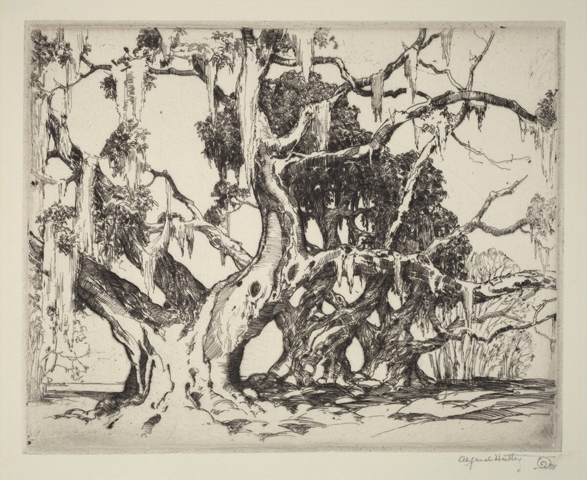 An Avenue of Live Oaks by Alfred Hutty