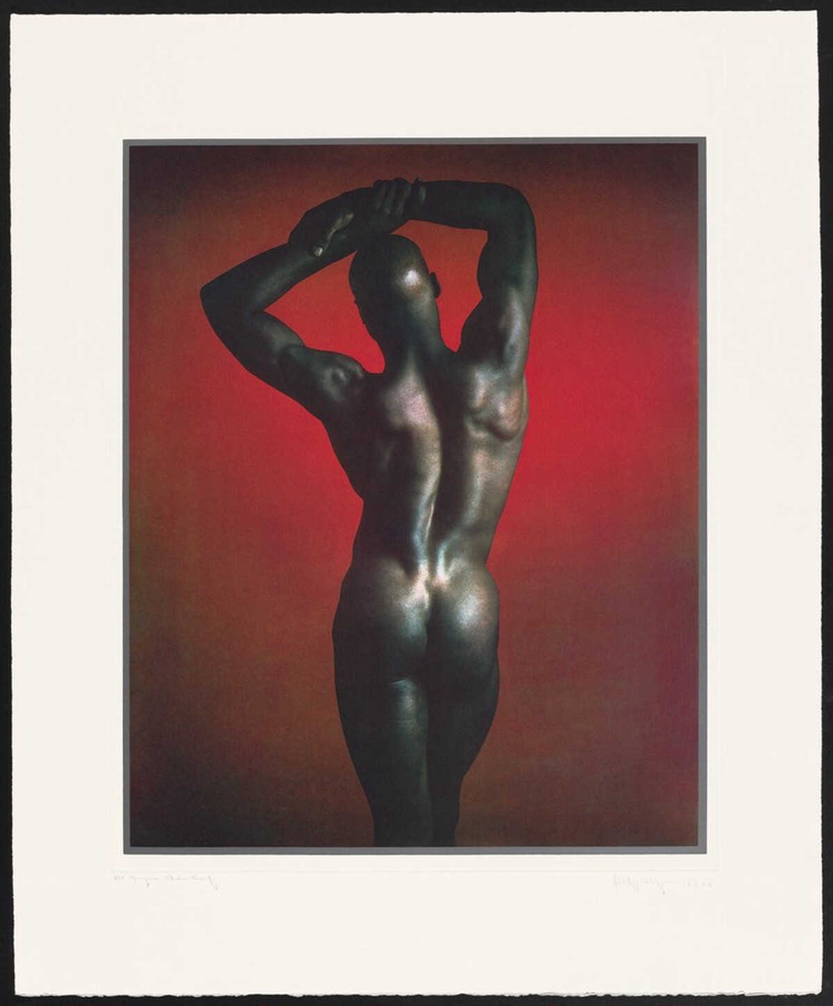 Untitled #1 by Robert Mapplethorpe