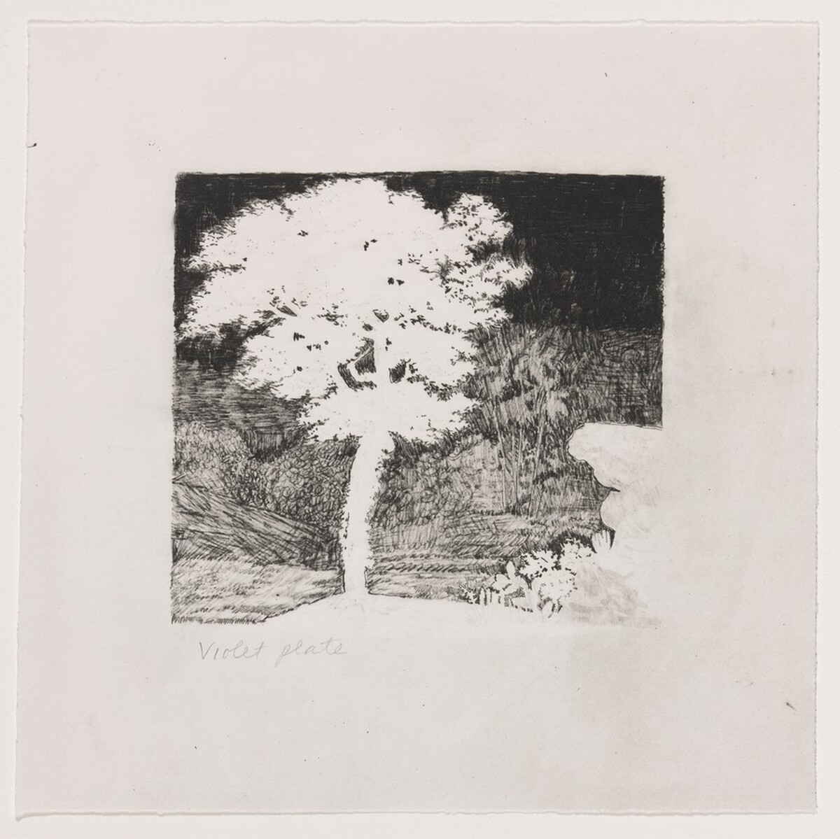 Untitled (#2) [working proof 1b] by Joan Nelson