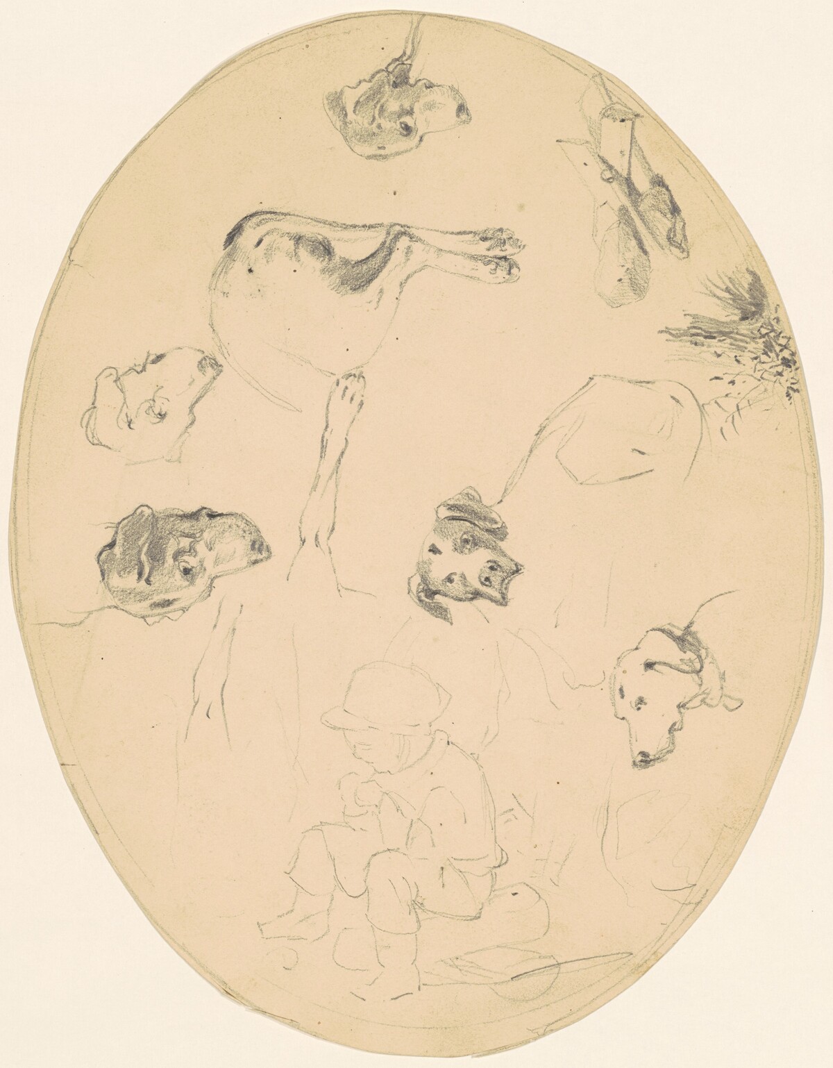 Studies of Dogs and a Seated Boy [recto] by James Goodwyn Clonney