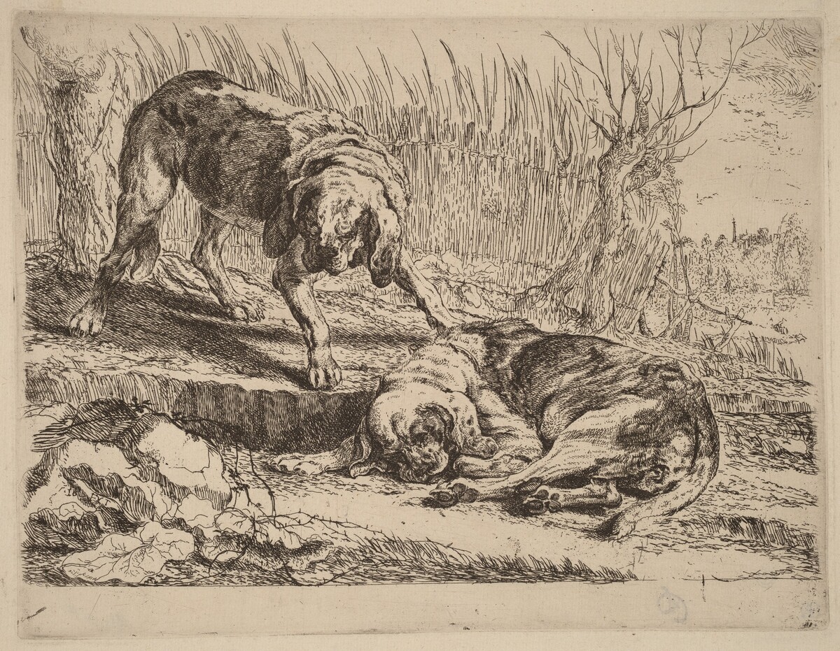 Two Beagles, One Sleeping by Jan Fyt