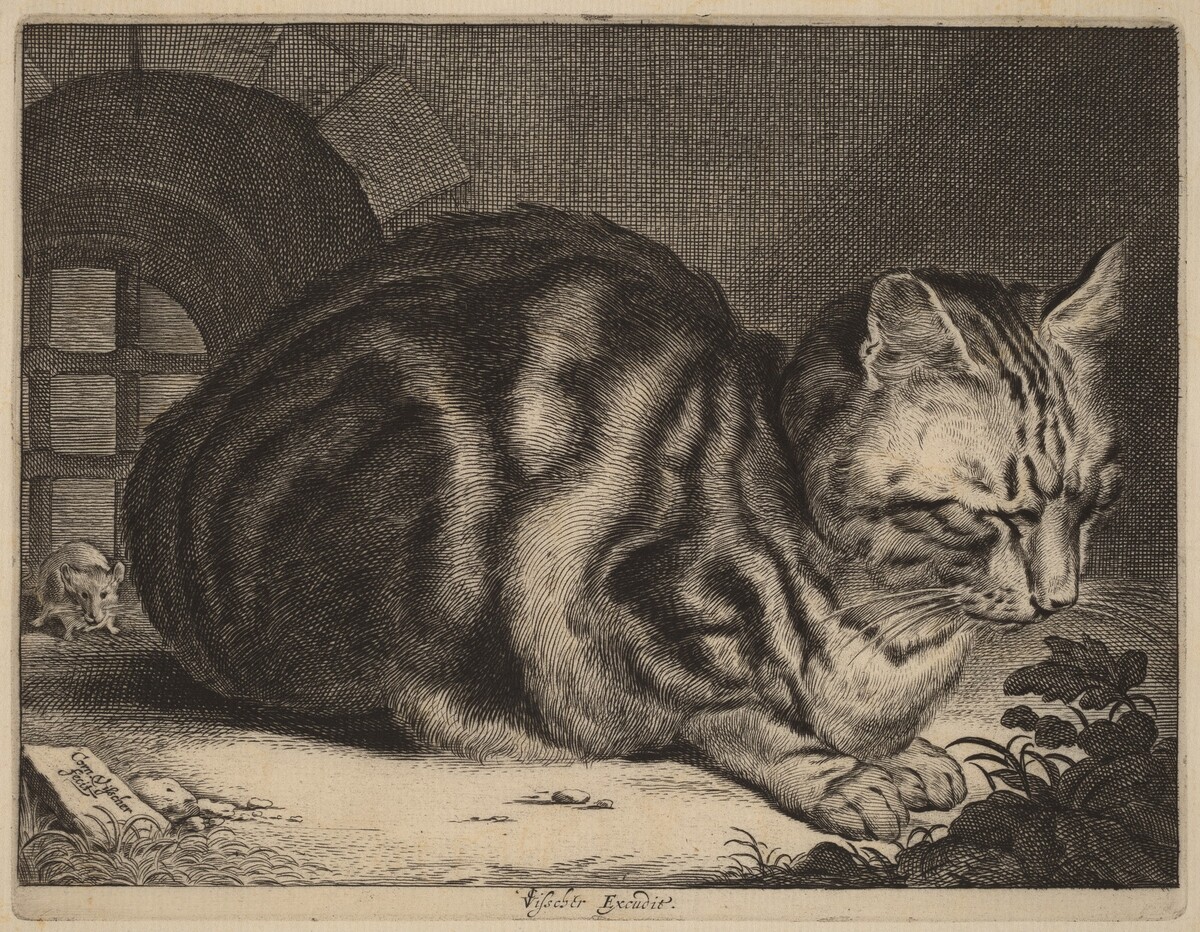 The Large Cat by Cornelis Visscher