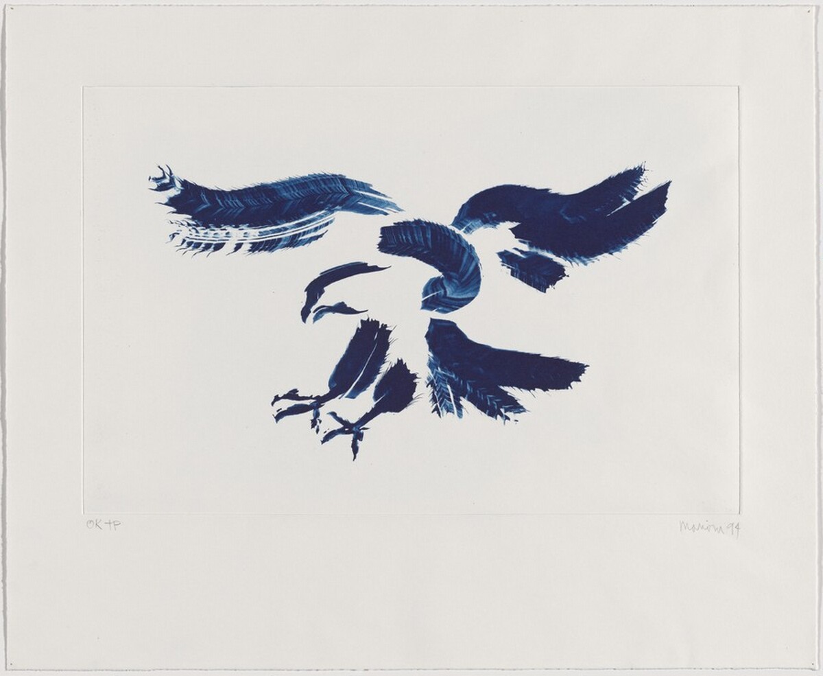 American Eagle by Tom Marioni