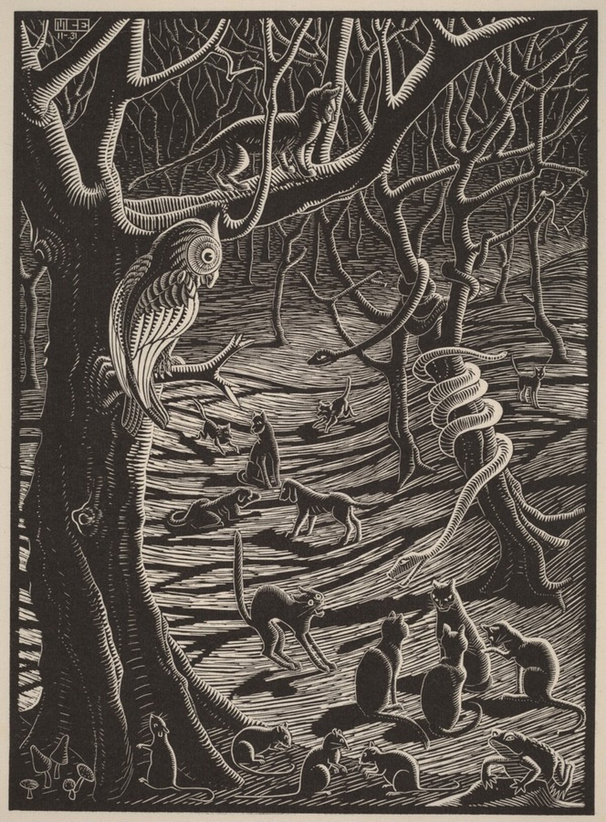 Illustration for "The Terrible Adventures of Scholastica" by M.C. Escher