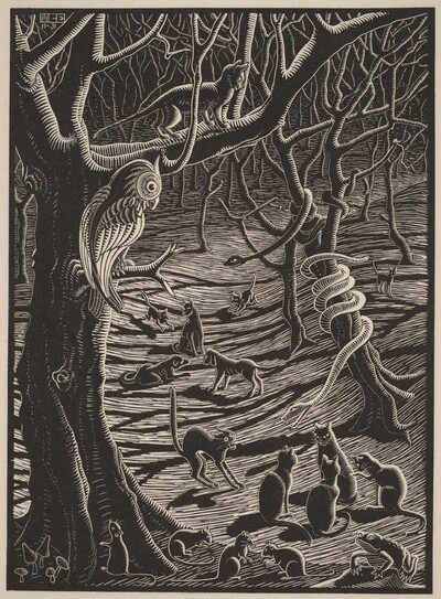 Illustration for "The Terrible Adventures of Scholastica"