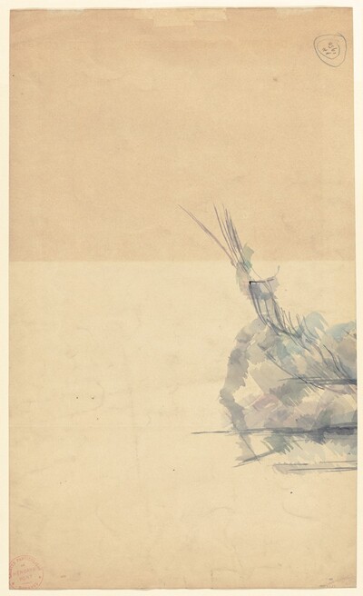 Study of a Rock [verso]
