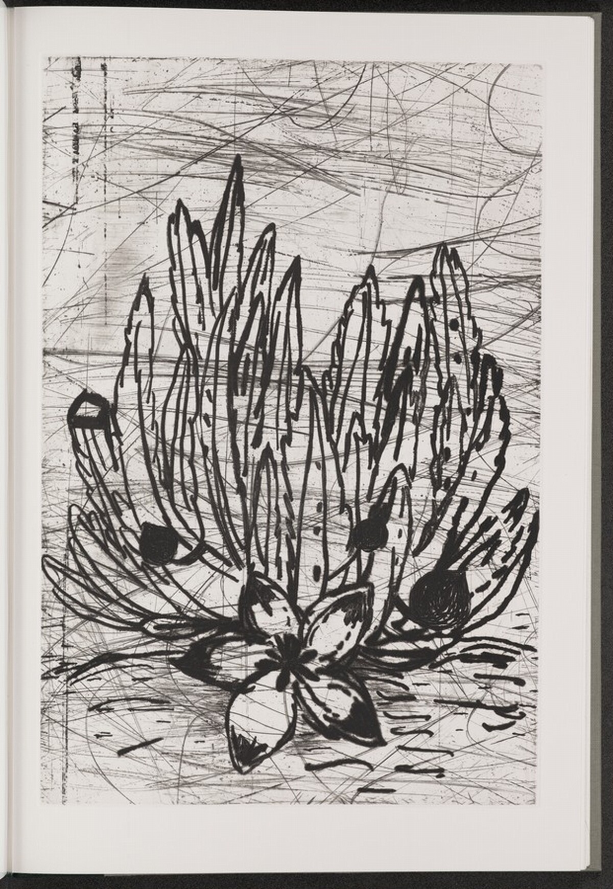 Carrion Flower by Jim Dine