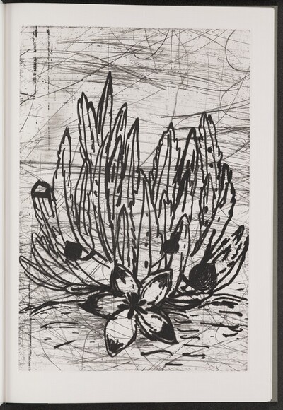 Carrion Flower