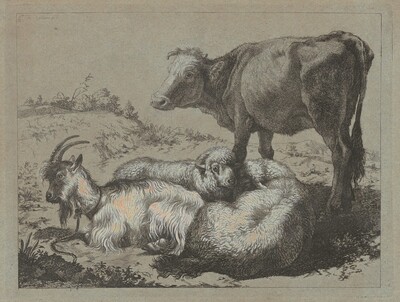 Standing Ox, Two Sheep, and a Goat