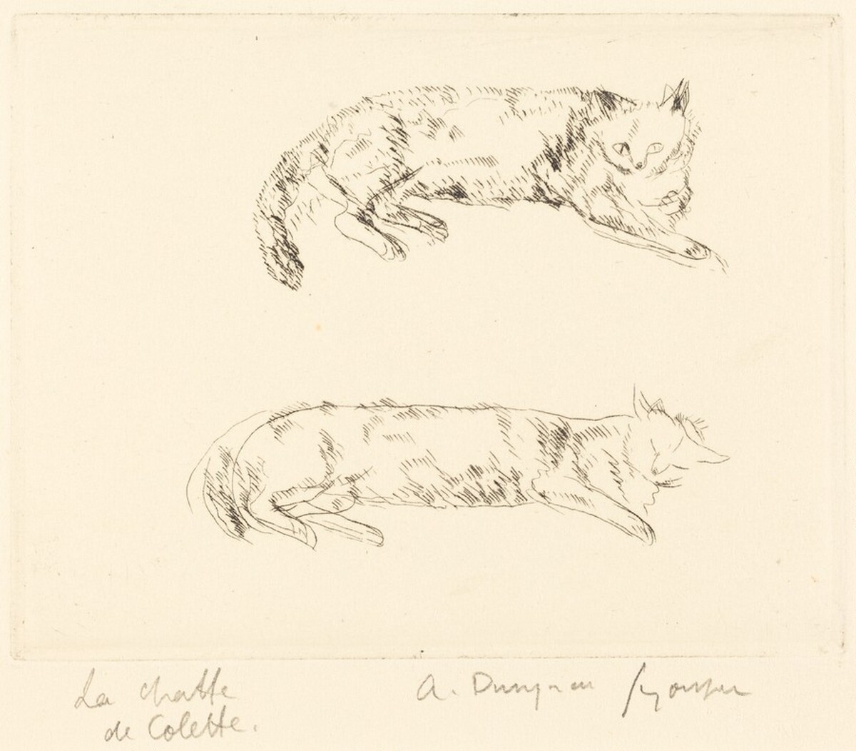 La chatte de Colette by André Dunoyer de Segonzac
