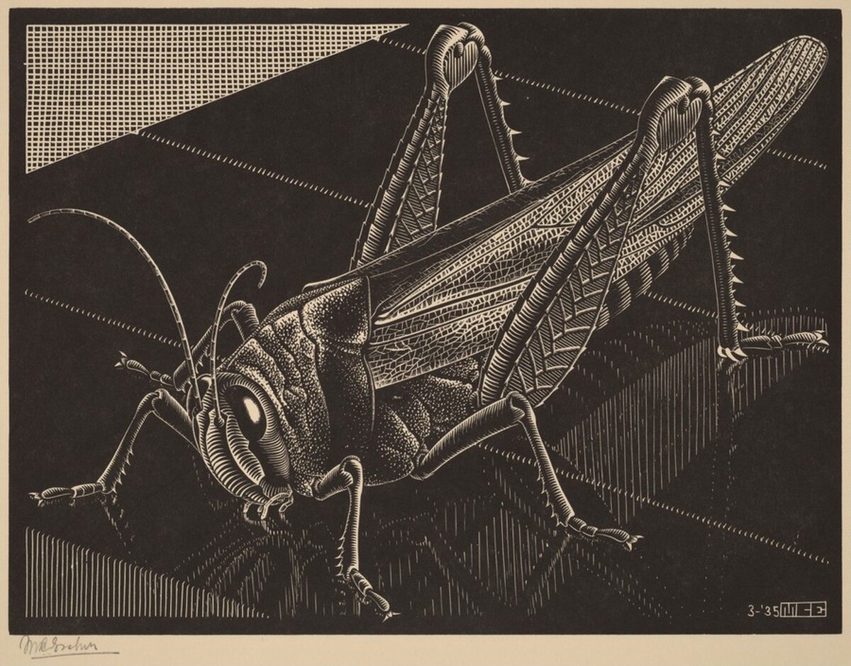 Grasshopper by M.C. Escher