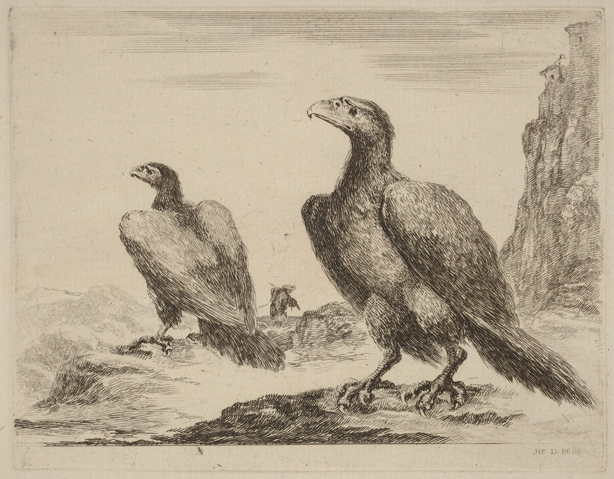 Two Eagles, Both with Heads Turned to the Left, On a High Cliff by Stefano Della Bella