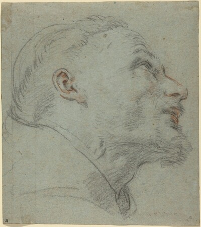 Head of Saint Francis