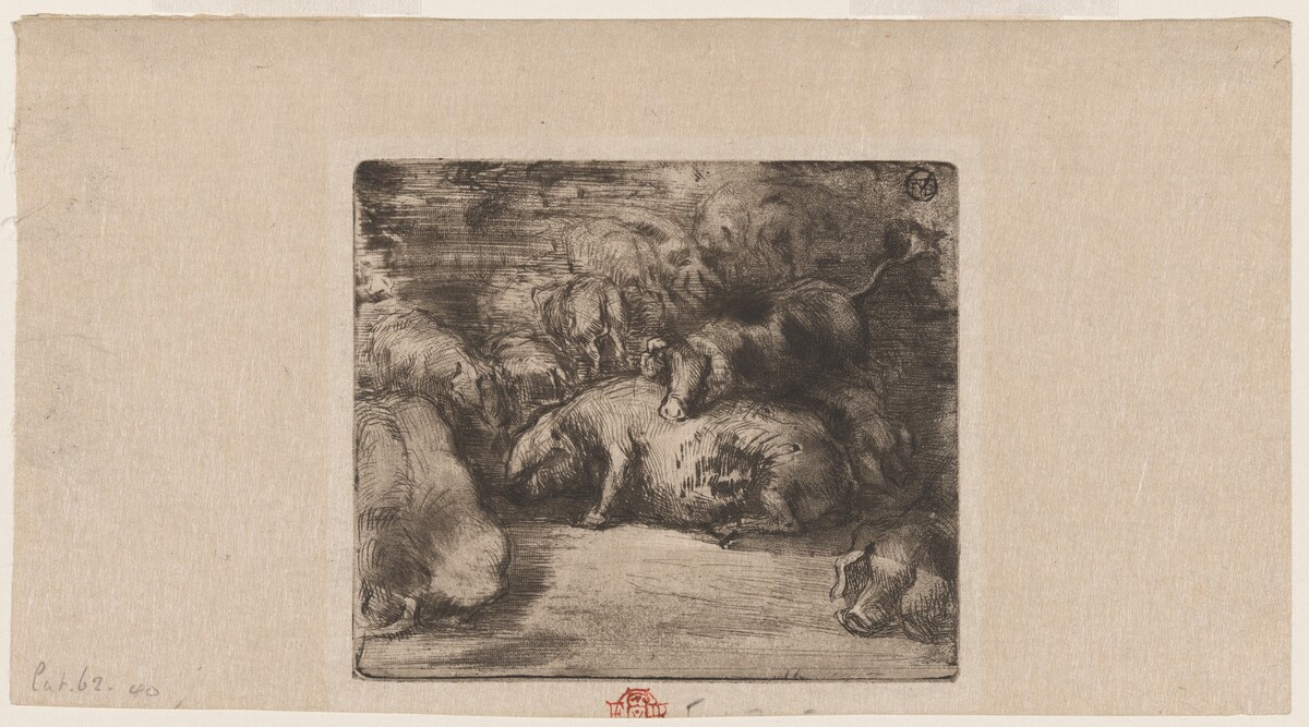 Cochons au soleil (Pigs in the Sun) by Félix-Hilaire Buhot