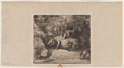 Cochons au soleil (Pigs in the Sun)