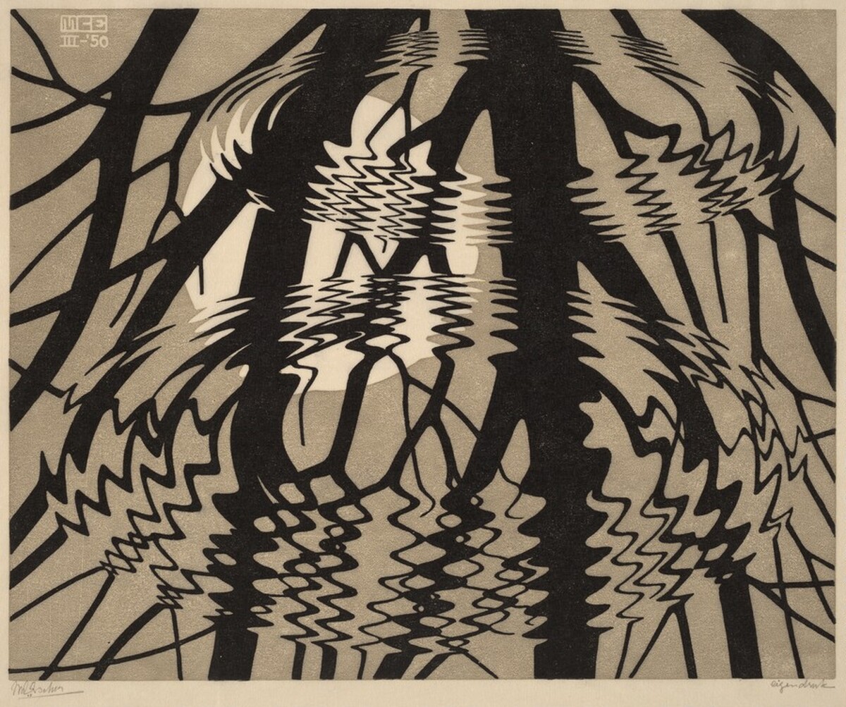 Rippled Surface by M.C. Escher